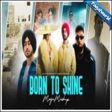 Born To Shine Mega Mashup - DJ Sumit Rajwanshi Mp3